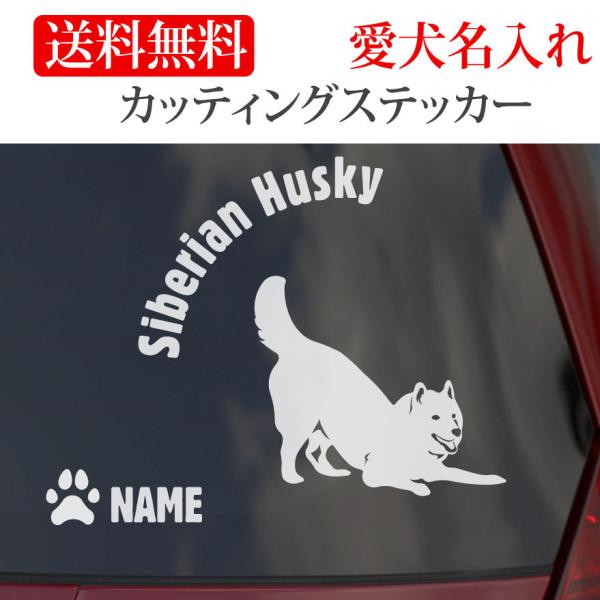 VxAnXL[ XebJ[ nXL[ JbeBOXebJ[ F ~`  