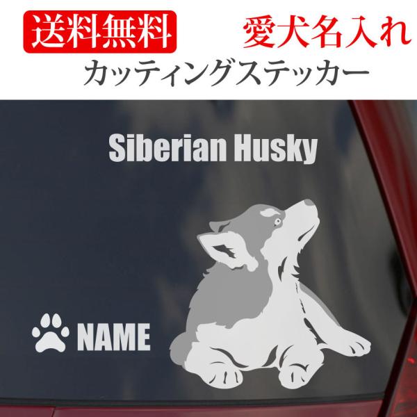 VxAnXL[ XebJ[ nXL[ JbeBOXebJ[  