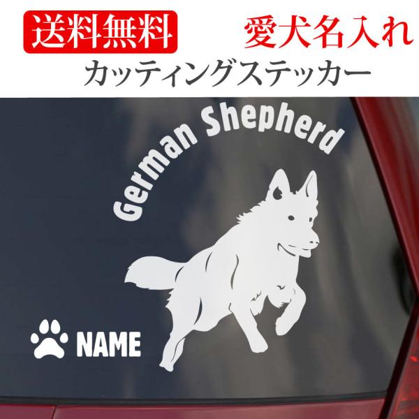 W[}VFp[h XebJ[ VFp[h JbeBOXebJ[ RUN ~`  