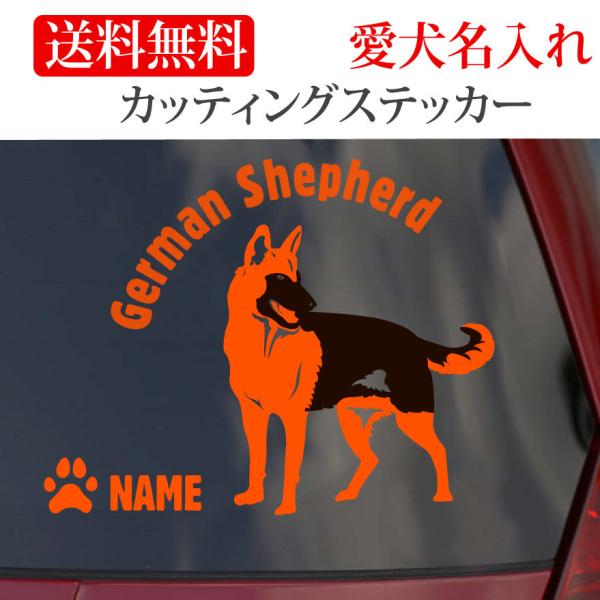 W[}VFp[h XebJ[ VFp[h JbeBOXebJ[ ~`  