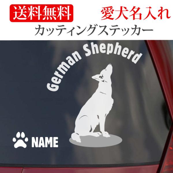 W[}VFp[h XebJ[ VFp[h JbeBOXebJ[ ~`  