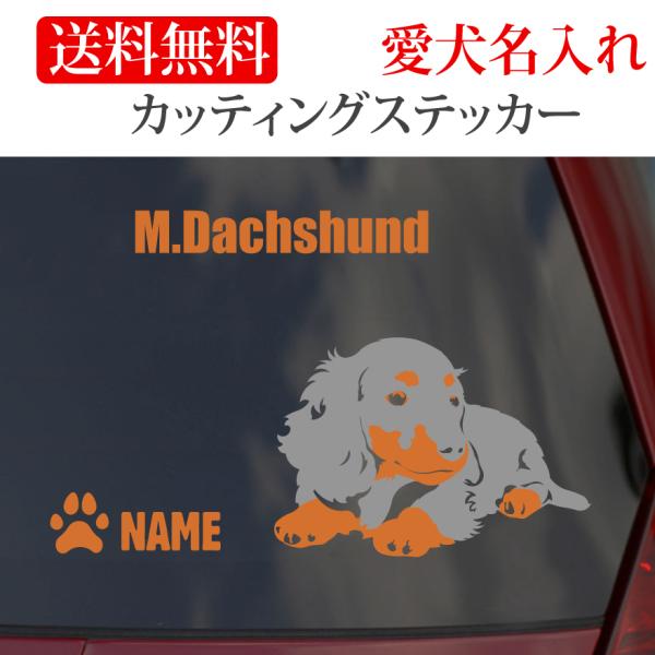 ミニチュアダックス ステッカー ダックスフンド カッティングステッカー 車 名入り