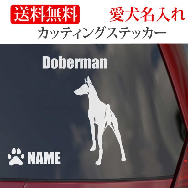 ドーベルマンのステッカーの縦横どちらか大きいほうがＳは130mm　Ｍは150mm　Lは180mm   2Lは200mmです。ドーベルマンのネームは英数半角で12文字以内です。 英数以外での犬のネームは粕取り前の切り文字になり、英数以外は６文...