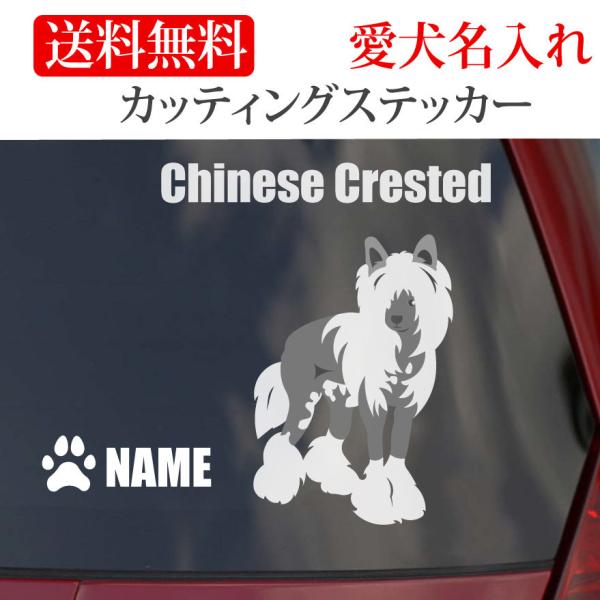 `Cj[YNXebhhbO XebJ[ `Cj[YENXebh JbeBOXebJ[  