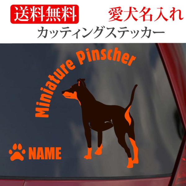 ~j`AsV[ XebJ[ ~js JbeBOXebJ[ ~`  