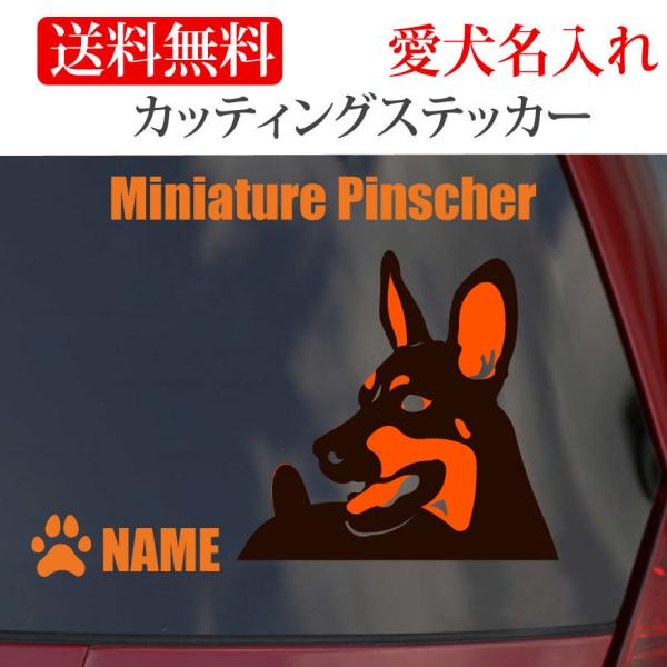 ミニチュアピンシャー ステッカー ミニピン カッティングステッカー 断耳 タレ耳 車 名入り