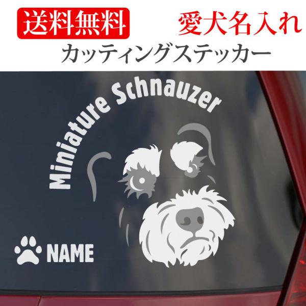 ~j`AViEU[ XebJ[ JbeBOXebJ[  ~`  