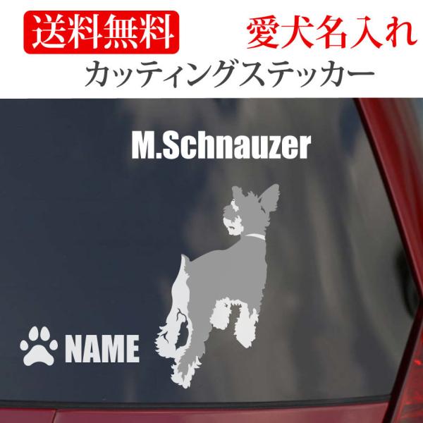 ~j`AViEU[ XebJ[ ViEU[ JbeBOXebJ[   