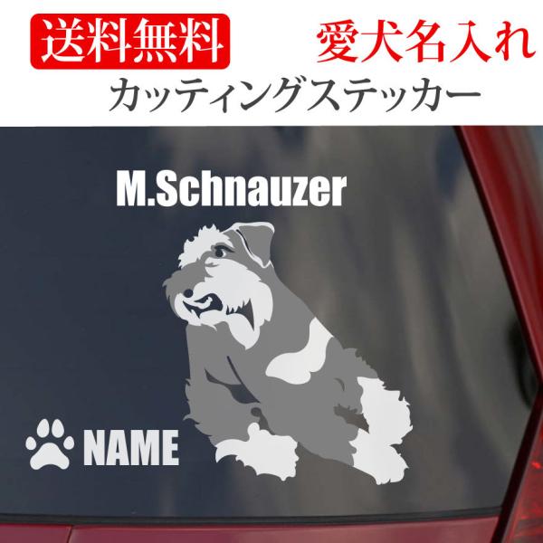 ~j`AViEU[ XebJ[ ViEU[ JbeBOXebJ[ RUN  