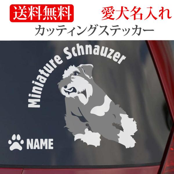 ~j`AViEU[ XebJ[ ViEU[ JbeBOXebJ[ RUN ~`  