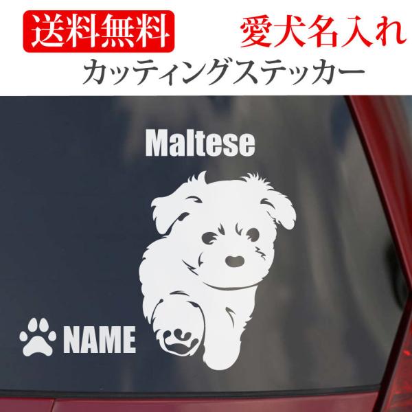 }`[Y XebJ[ JbeBOXebJ[  