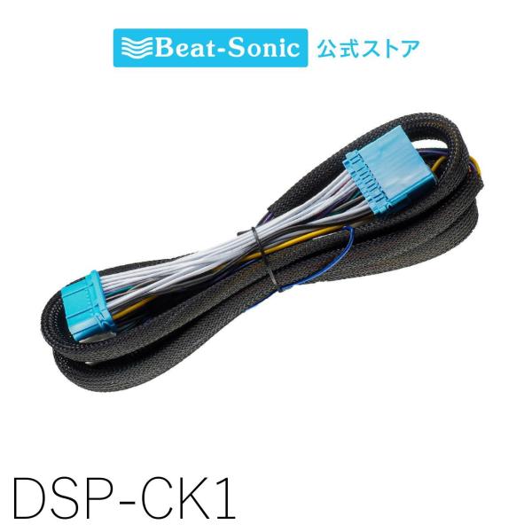 only1-led_dsp-ck1