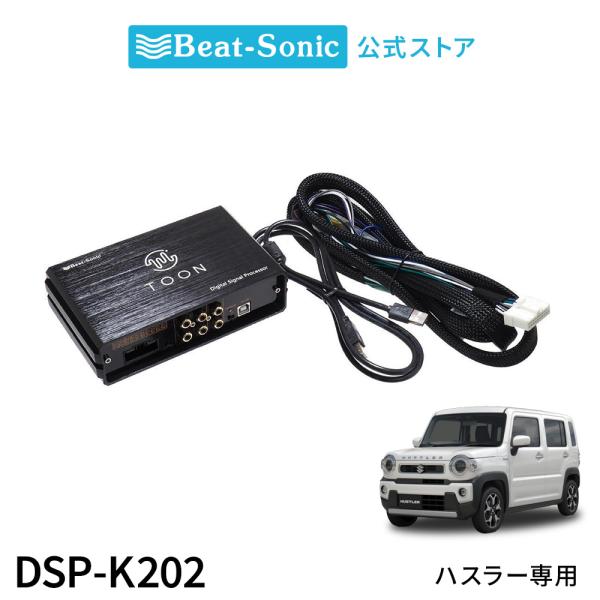 only1-led_dsp-k202