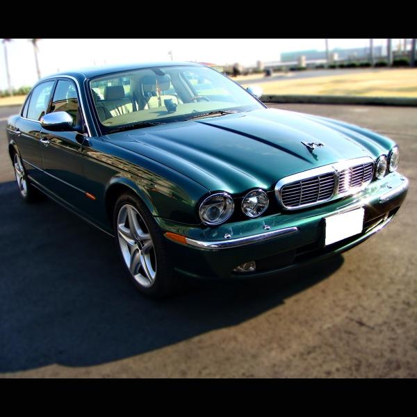 ジャガー メッキ ヘッドライト ヘッドランプ リング XJ XJ6 XJ8 XJR