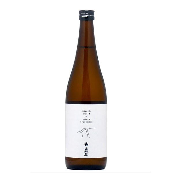 { R鉮 standard class đ 720ml V z܂ X^_[hNX Ε Mtg