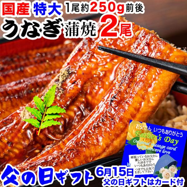 2022 プレゼント 70代 うなぎ蒲焼 2尾 蒲焼き 特大 お中元8,999円 鰻 80代 2022 プレゼント 70代 うなぎ蒲焼 2尾 蒲焼き 特大 お中元8,999円 鰻 80代