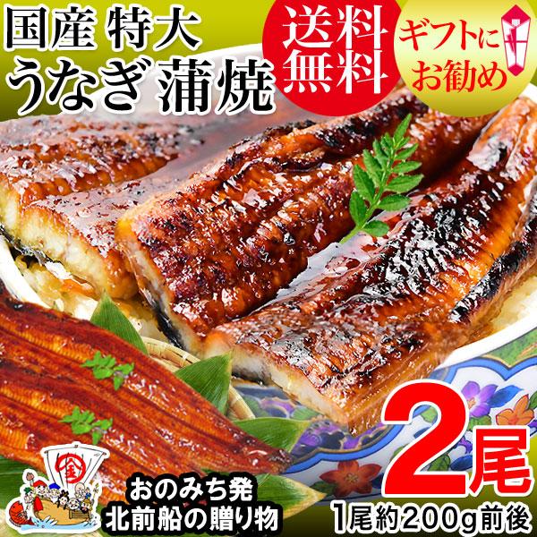 ポイント利用 #元気いただきますプロジェクト（水産物）ギフト 国産 うなぎ 蒲焼き 鰻 うなぎ蒲焼き 国内産 ギフト 鰻 セール 国産 ウナギ　うなぎ蒲焼き 国内産　特大サイズ うなぎ2尾　送料無料※送料0円です。尚、北海道は1000円、沖...