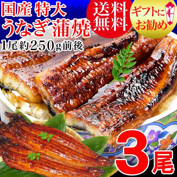ポイント利用 ギフト 国産 うなぎ 蒲焼き 鰻 うなぎ蒲焼き 国内産 鰻 セール 国産うなぎ 国産 ウナギ　うなぎ蒲焼き 国内産　特大サイズ うなぎ3尾　送料無料 ギフト宮崎・鹿児島県産 南九州、美味しい湧水で知られる霧島の近く、鹿児島県・...