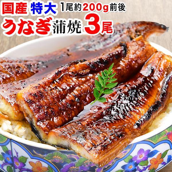 70代 うなぎ 蒲焼き 国産 ギフト 鰻 うなぎ蒲焼 九州産 3尾 特大(約180 