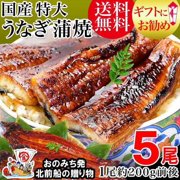 ポイント利用 (魚介類 海産物)セール　うなぎ蒲焼き 南九州、美味しい湧水で知られる霧島の近く、鹿児島県・宮崎県で 丹精込めて育てられた国産うなぎから、丸々と太った選別品を使用 特製蒲焼のたれを何度も付けて焼きを繰り返し、とっても香ばしく焼...