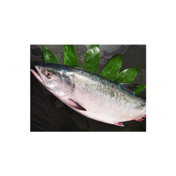 登別虎杖浜産生時鮭の頂点大助 おおすけ大3 5 3 8kg前後一本姿時 Buyee 日本代购平台 产品购物网站大全 Buyee一站式代购bot Online