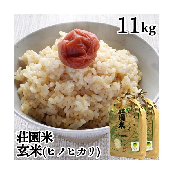令和7年度産 大分県豊後高田市産 荘園米 ヒノヒカリ 玄米 11kg(5.5kg×2