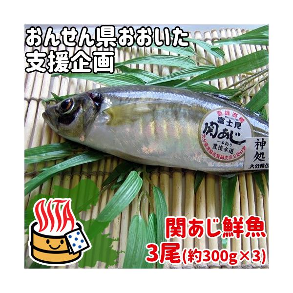 関アジ 魚介類の人気商品 通販 価格比較 価格 Com