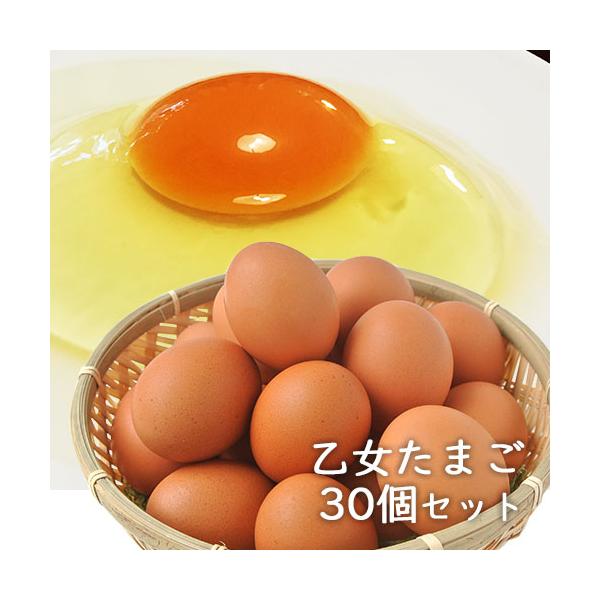 ヒヨコを孵化、育成し、鶏卵を集卵するまで一貫生産した卵です。手間と愛情をかけて鶏を飼育しております。＜乙女たまご３つのこだわり＞【エサ】魚粉や乳酸菌を配合し、美味しさを追求しました。【環境】世界農業遺産に認定された、国東半島・宇佐地域の農場...