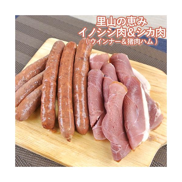 猪肉 ウインナーの人気商品・通販・価格比較 - 価格.com 猪肉 ウインナーの人気商品・通販・価格比較 - 価格.com