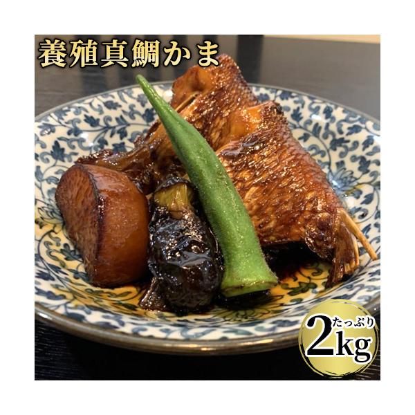 脂のり抜群 真鯛の鯛かま たっぷり約1kg(10〜14個前後)×2パック 合計2kg入り たいかま カマ 国産養殖真ダイ かまや本舗 :J0000000930002S2:おんせん県おおいた online shop 通販 愛媛県宇和島産 真鯛カマ 1kg