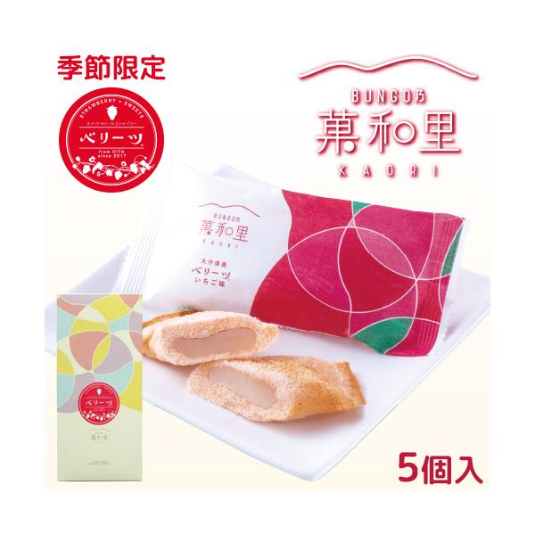 季節限定 ざびえる本舗 大分県産オリジナル苺ベリーツ使用 BUNGO乃 菓和里(いちご味) 5個入り 送料込