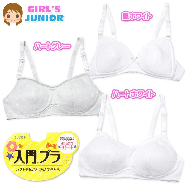 送料無料 女児 ジュニア 入門ブラ ブラジャー バスト全体がふくらんできたら ホックなし ノンワイヤー 下着 mr-0060 メール便対応