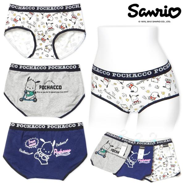 送料無料 婦人 レディース ローライズ ショーツ Sanrio サンリオ ポチャッコ 浅履き 綿混 肌着 下着 インナー M L yg-3118 メール便対応