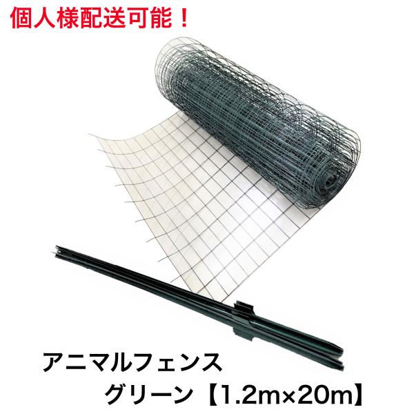 ■法人様限定送料無料：お届け先名に必ず法人様のお名前をご記載ください。■個人様配送の場合は、1セットにつき別途送料3300円が加算されます。■送付先が北海道の場合は法人様も個人様も、1セットにつき合計3000円の送料が別途加算となります。■...