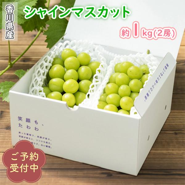 シャインマスカット　2房入り（1kg箱）超樹上完熟 