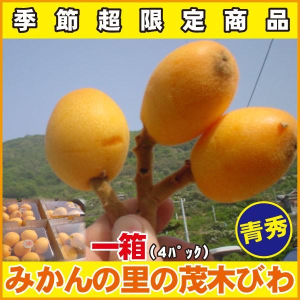 ともさんちの「茂木びわ」【優品】1箱（400ｇ×４パック）合計1.6ｋｇ　Ｌ〜Ｍサイズ