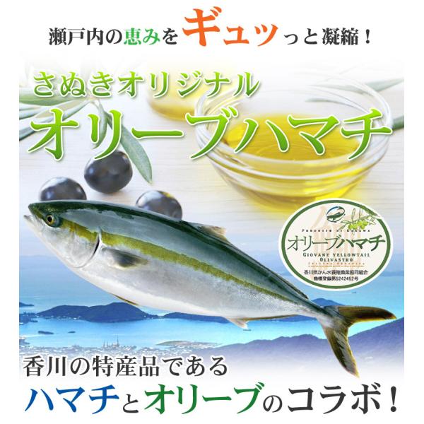 発祥の地 讃岐のオリーブハマチ 養殖 約4 0ｋｇ前後 約人前 Buyee Buyee Japanese Proxy Service Buy From Japan Bot Online