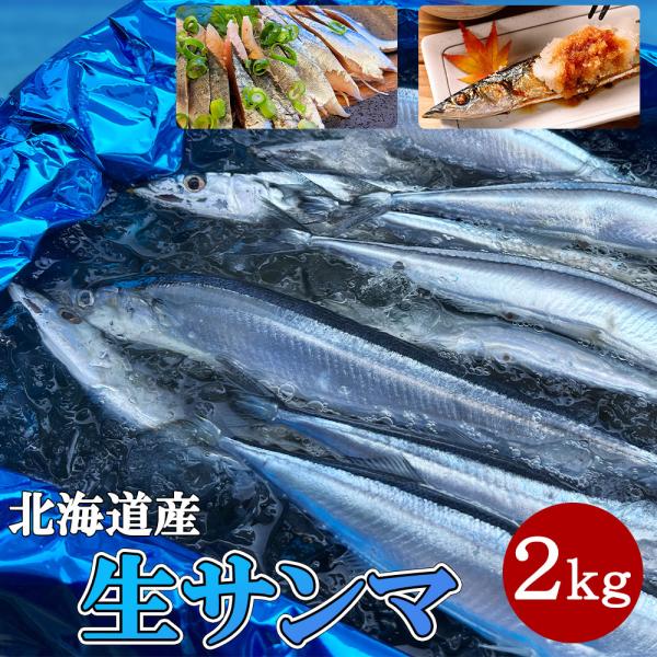 北海道産 生さんま 2kg 刺身で食べれる新鮮さんま チルドヤ