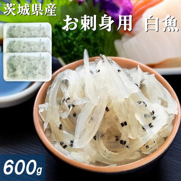 【刺身用の白魚】「霞ヶ浦のダイヤモンド」と称される茨城県の白魚を業務用凍結で鮮度をキープ！殺菌処理を徹底しておりますので安心して生食でお楽しみいただけます。