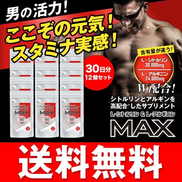 シトルリン アルギニン サプリメント 圧倒的な含有量サプリ L-シトルリン+L-アルギニンMAX 30日分 240粒入×12個セット 送料無料 併用 増大 サプリ /【Buyee】 シトルリン アルギニン サプリメント 圧倒的な含有量サプリ L-シトルリン+L-アルギニンMAX 30日分 240粒入×12個セット 送料無料 併用 増大 サプリ /【Buyee】
