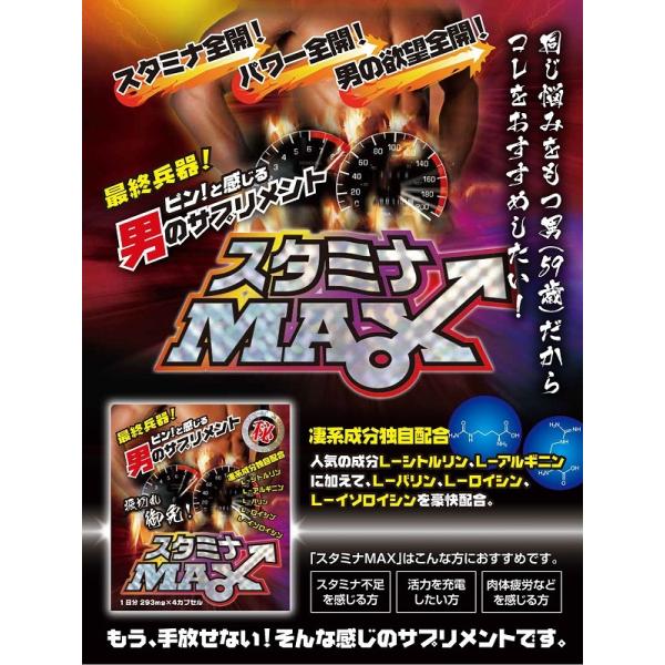 L シトルリン L アルギニン配合サプリ スタミナｍａｘ 1日分 男の魅力増大 男性向けサプリメント 妊活に Buyee Buyee Japanese Proxy Service Buy From Japan Bot Online