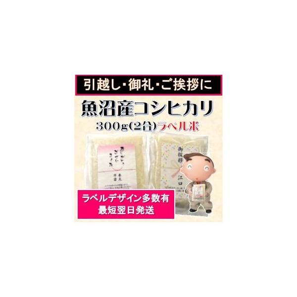 引越し挨拶 ギフト ミニ袋ラベル米 300g 2合 魚沼産コシヒカリ 結婚式のプチギフト 退職お礼 転勤 移動 御礼 粗品 プチプレゼント Buyee Buyee Japanese Proxy Service Buy From Japan Bot Online