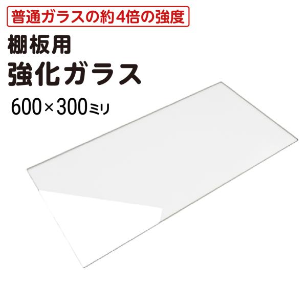 ガラス棚板用 透明強化ガラス W600×H300×T5mm 規格サイズ 安全 硝子