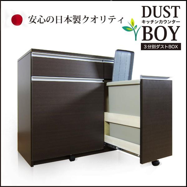 ゴミ箱 ダストボックス キッチン収納 3分別 キャスター付き 日本製