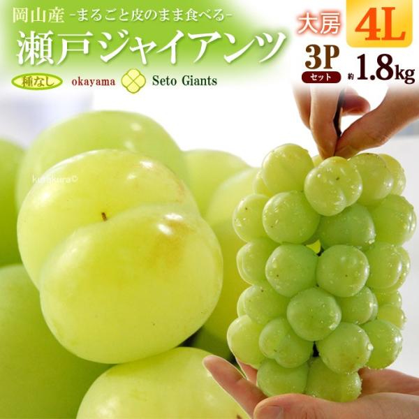 ˃WCAc 4L×3[ (1.8kg) RY Gi ƂႢ Ԃǂ uhE  炲 햳 seto giants Hi t[c ʕ uhE Mtg 
