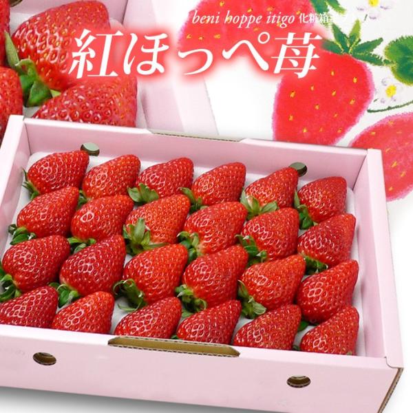 gق  (700g) Q Y gق  gzby ׂɂق p Mtg ϔ  C`S t[c  Mtg  i 䋟 