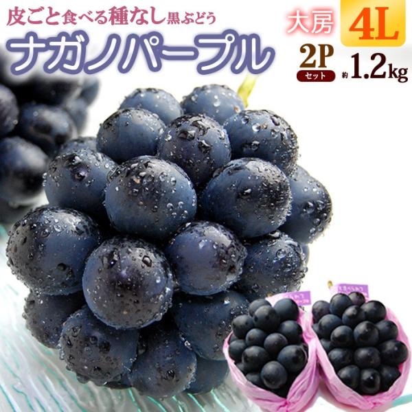 ナガノパープル 4L×2房 (約1.2kg) 長野産 秀品 ながのぱーぷる ぶどう ブドウ 葡萄 皮ごと 種無し nagano purple 食品  フルーツ 果物 ブドウ ギフト 贈答 進物 :fi-2029:まいどおおきに屋クラクラ 通販 