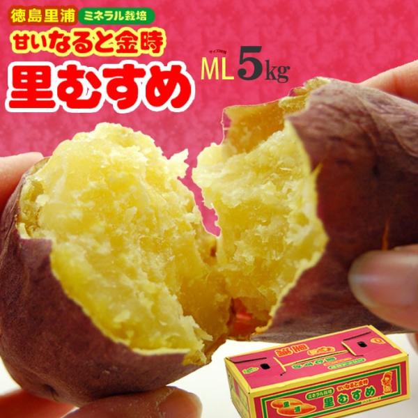 ȂƋ ނ (M-L/5kg)  YY N ~l͔|   Ȃ Ƃ   Ƃނ zNzN Ă Ă Tc}C