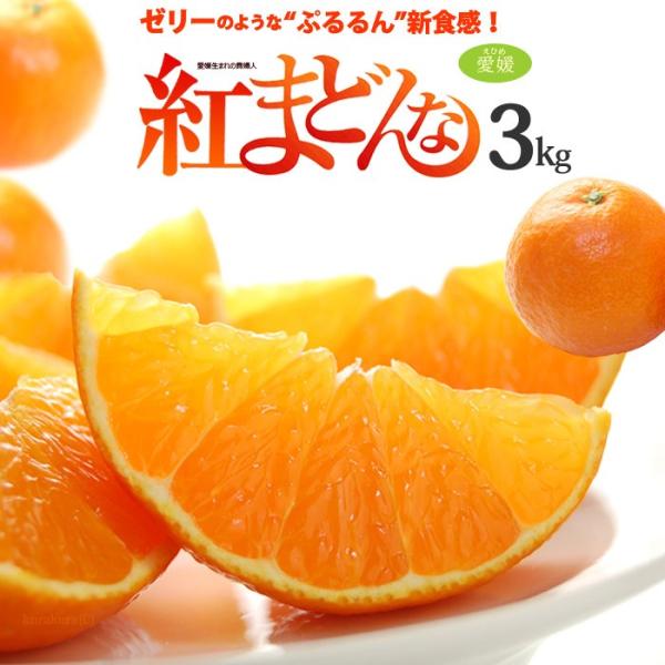 g܂ǂ ݂ 2L-3L×10`12 (3kg) QY Gi Ε  Mtg  g}hi ׂɂ܂ǂ xj}hi ~J  k t[c ʕ lC