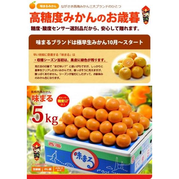 西海みかん 味まるみかん 5kg 長崎産 赤秀 贈答用 お歳暮 ギフト Buyee Buyee Jasa Perwakilan Pembelian Barang Online Di Jepang
